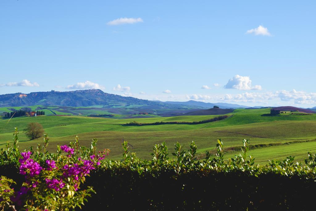Agriturismo San Francesco Amalia And Anna Orciatico ภายนอก รูปภาพ