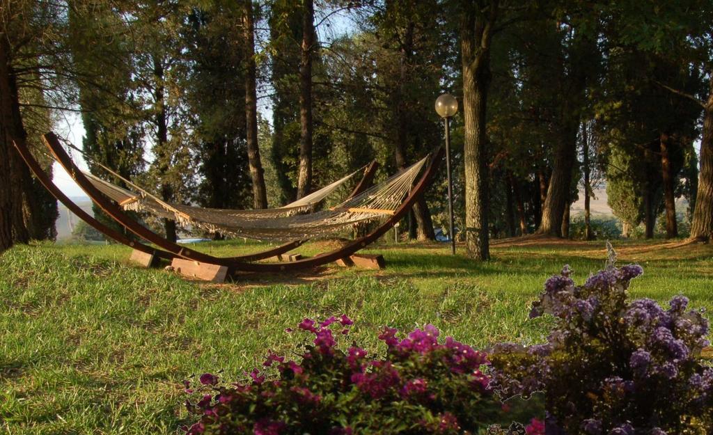 Agriturismo San Francesco Amalia And Anna Orciatico ภายนอก รูปภาพ