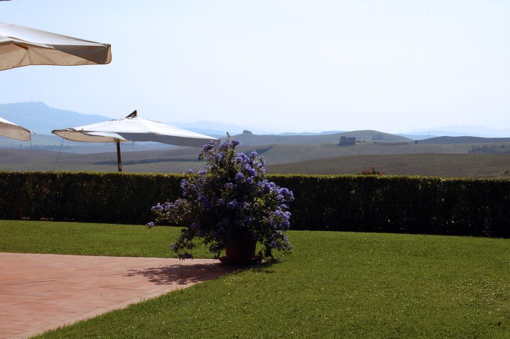 Agriturismo San Francesco Amalia And Anna Orciatico ภายนอก รูปภาพ