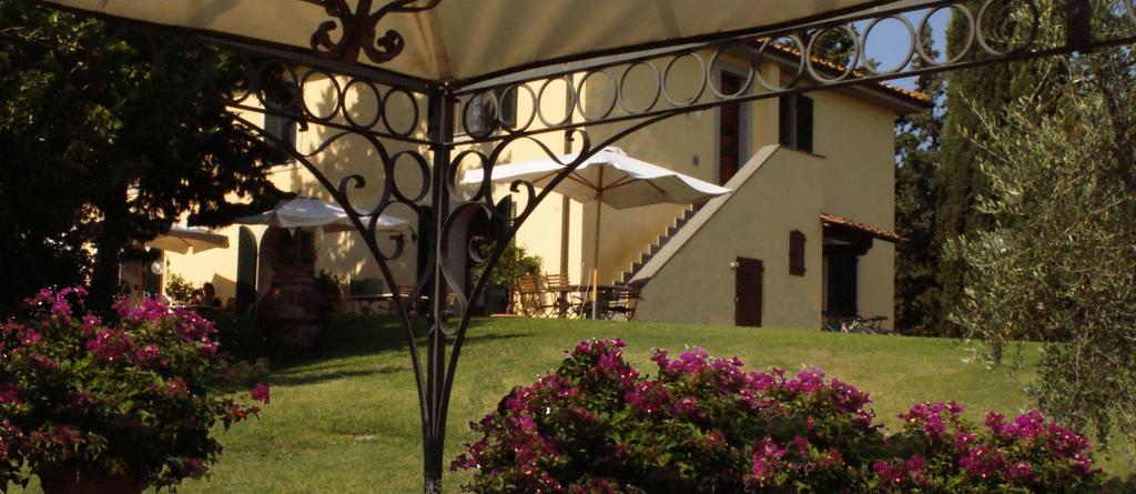 Agriturismo San Francesco Amalia And Anna Orciatico ภายนอก รูปภาพ
